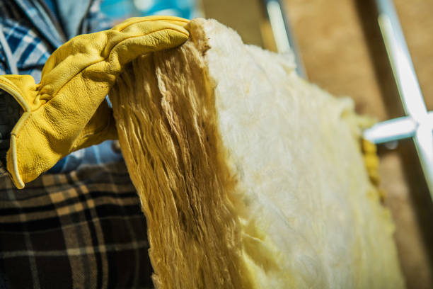 Best Crawl Space Insulation  in Starkville, MS